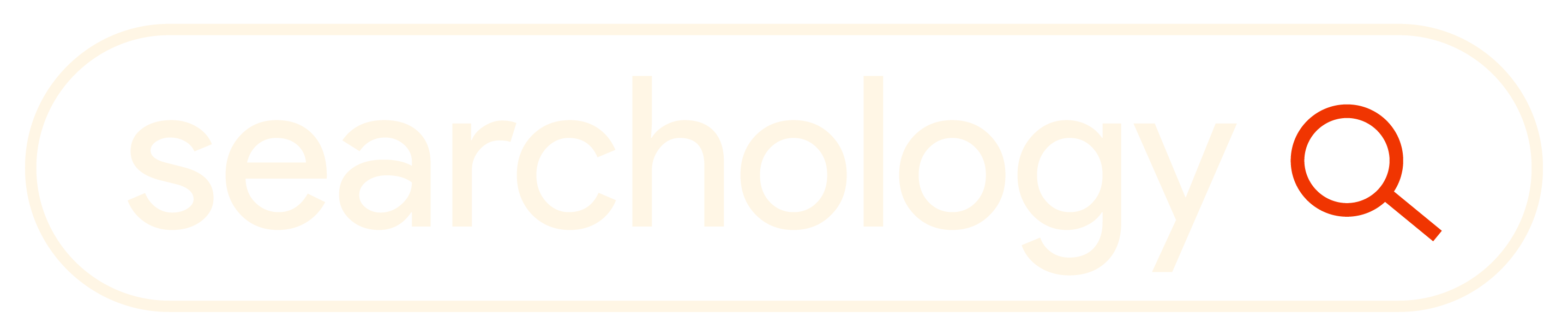Searchology SEO Agency